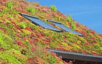 Shottisham living roof systems