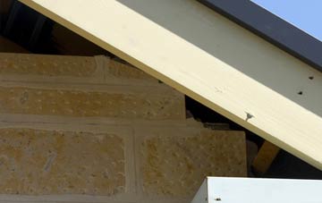 soffit repair Shottisham